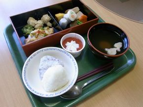 春のお弁当-1.jpg