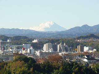 屋上からの富士山.jpg
