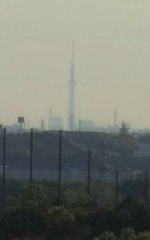 スカイツリー 拡大.jpg